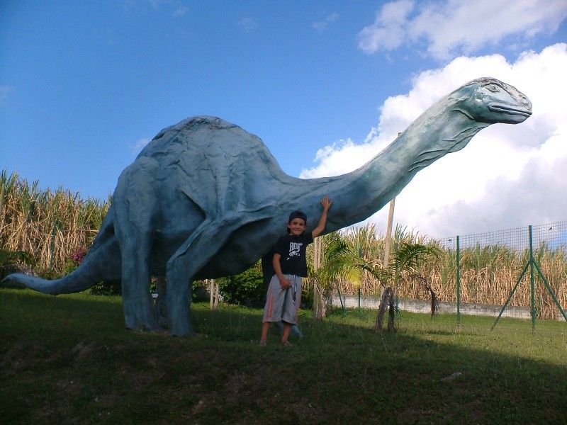 Dinossauro e o Nick