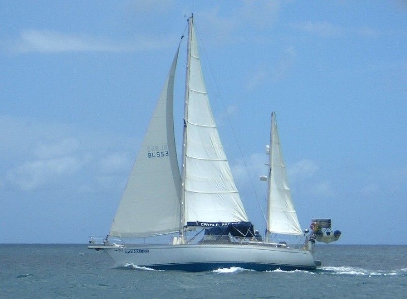 Cavalo Marinho na Martinica