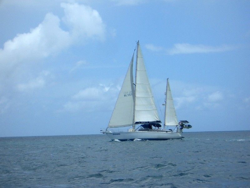 Cavalo Marinho