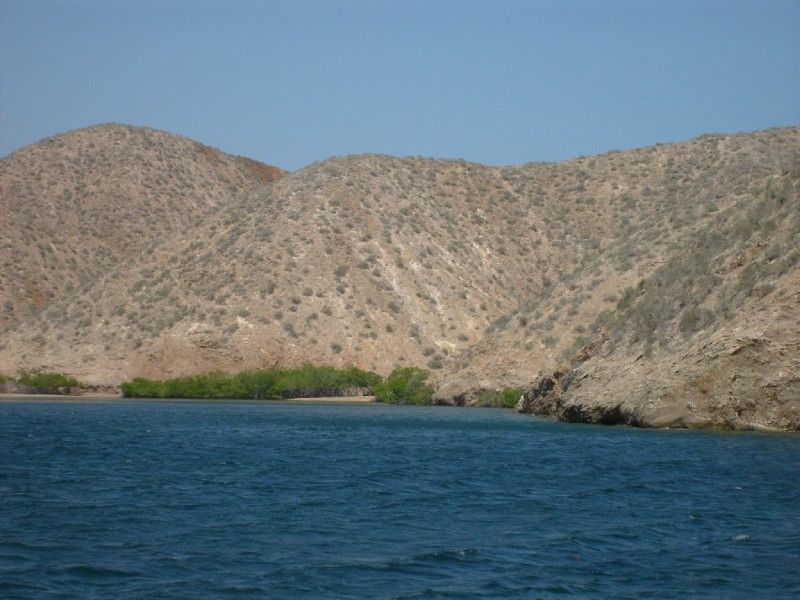 Golfo de Cariaco,  VE