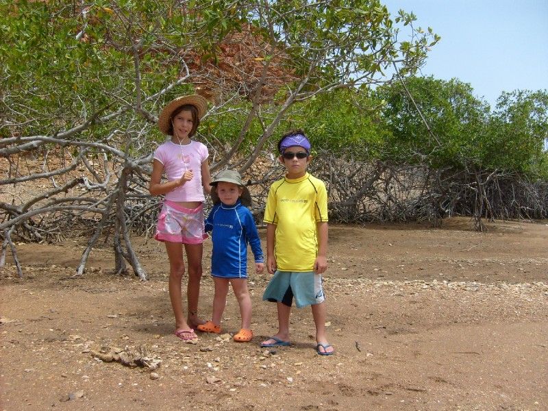 Os tres mosqueteiros