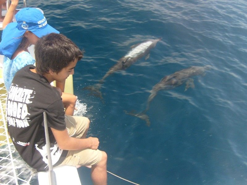 Amigos do Mar