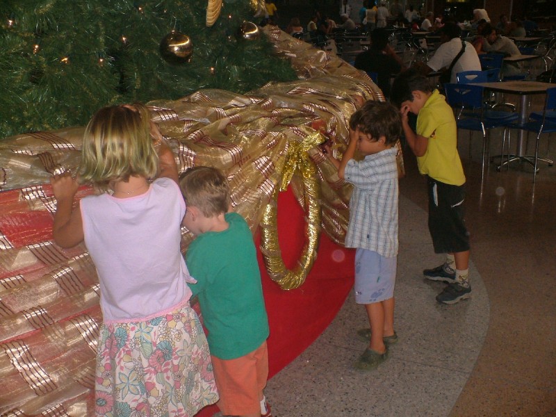 Rezando para Papai Noel ao pe da ARVORE