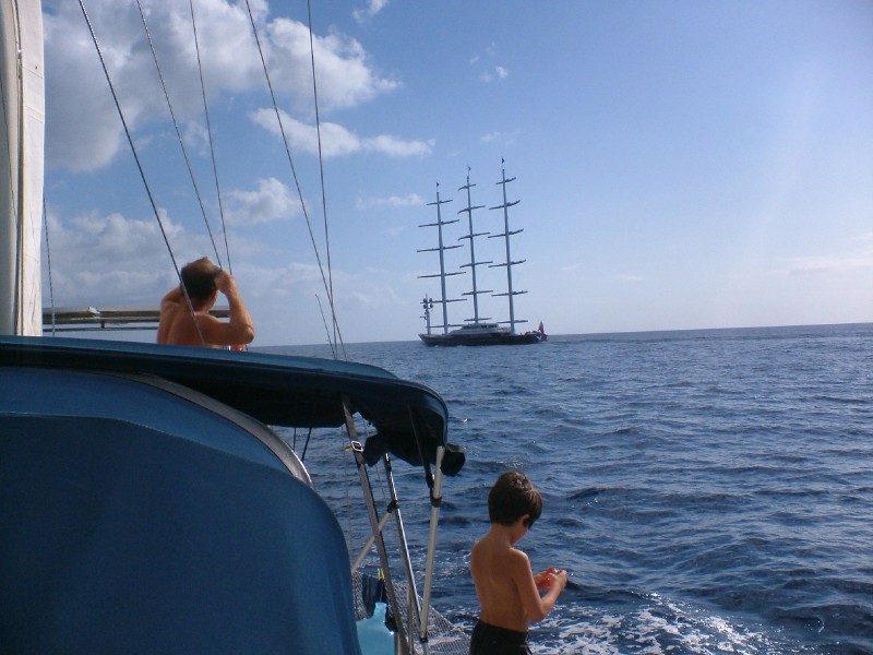 Maltese Falcon by Cavalo Marinho
