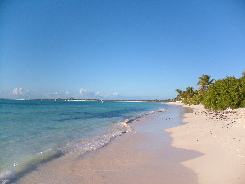 Barbuda   Nossa vizinhança