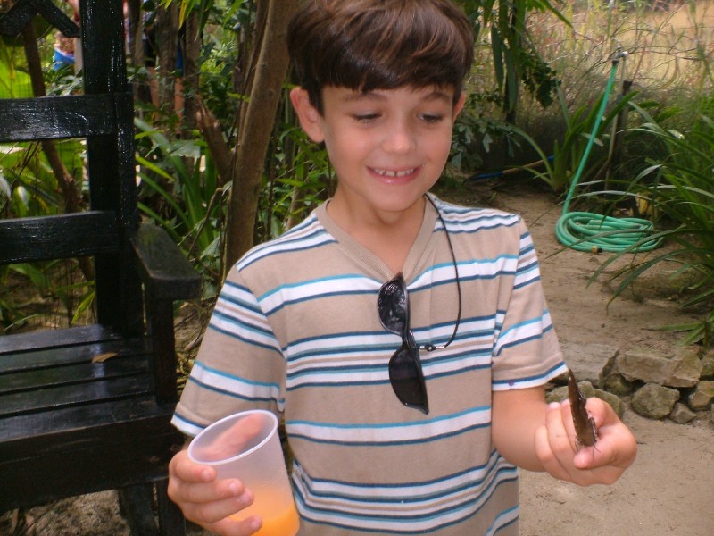 Borboletario 1