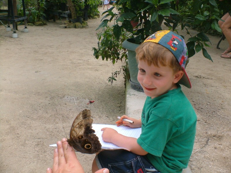 Raffael estudando