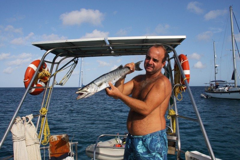 Blanquilla - Barracuda!!!!