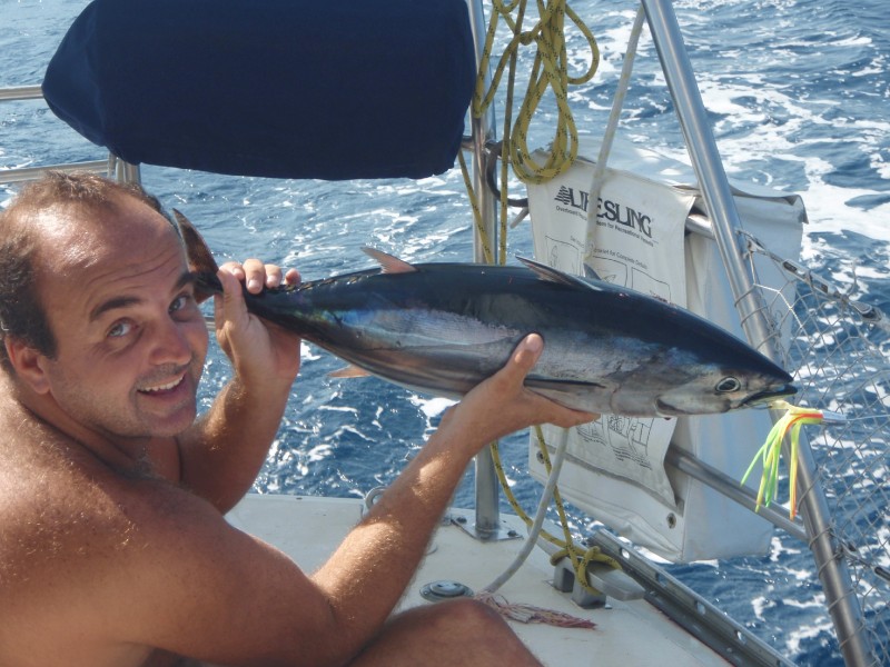 Garantindo o sushi