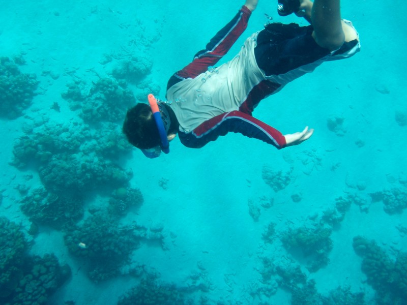 Snorkeling in Bonaire